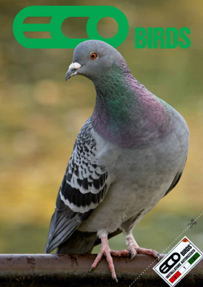 ecobirds
