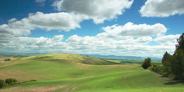 natura