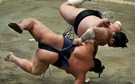 sumo