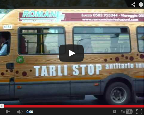 video_romani