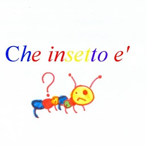 che insetto e