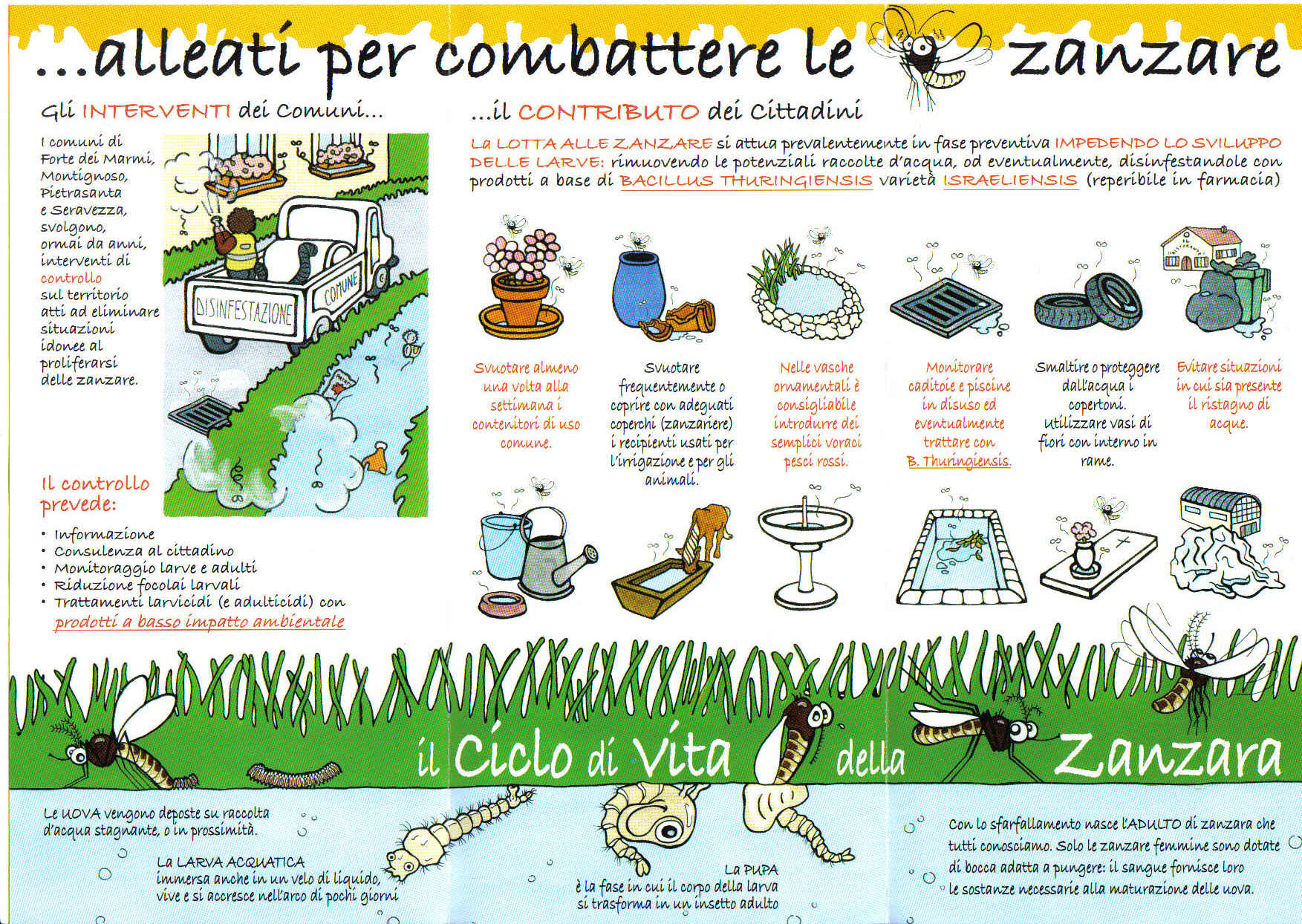 Zanzare in giaRDINO