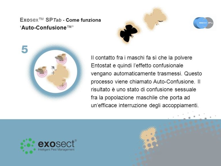 Exosect