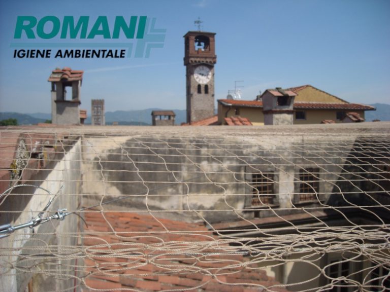 Dissuasione Volatili